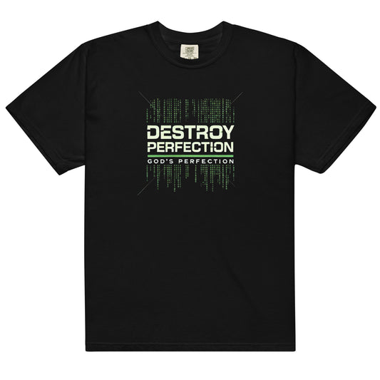 Destroy Perfection by God's Perfection Tee