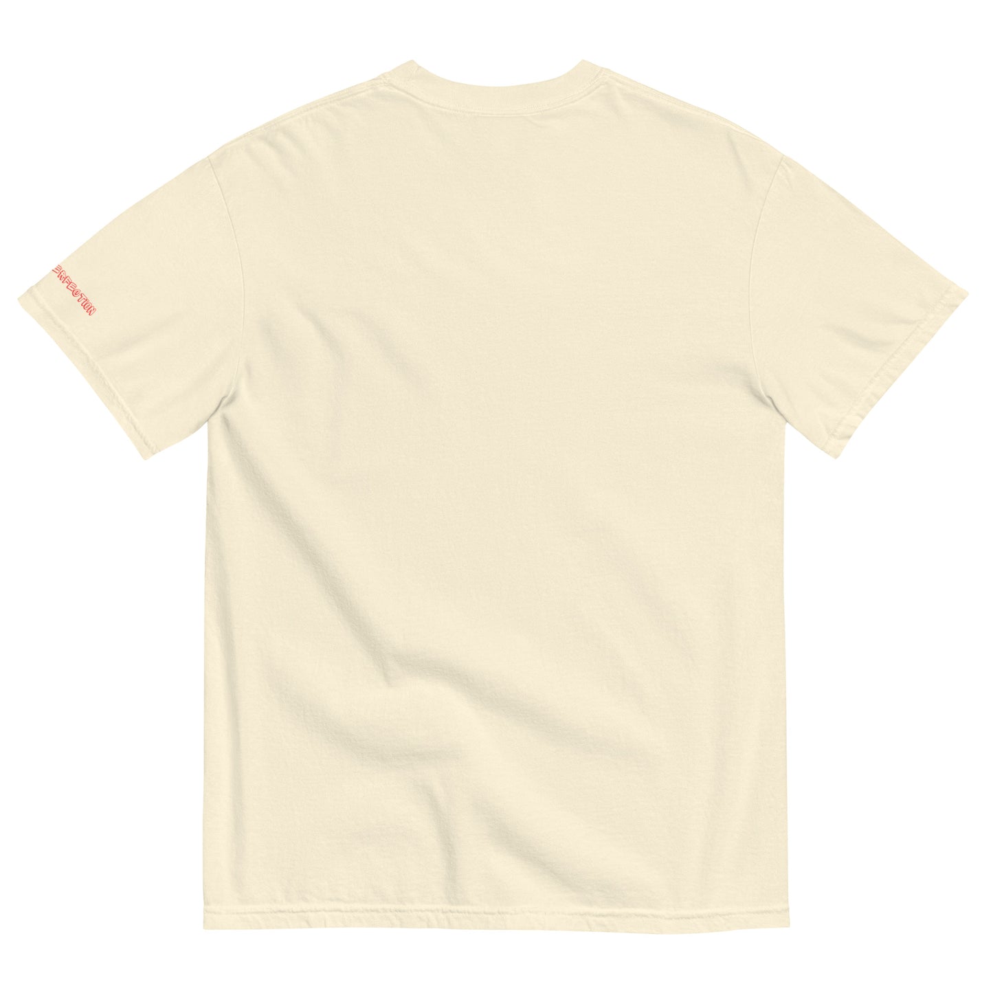 Divine Warrior by God's Perfection T-Shirt