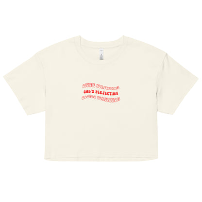 Divine Perfection, Cosmic Perfection, and God's Perfection Crop T-Shirt