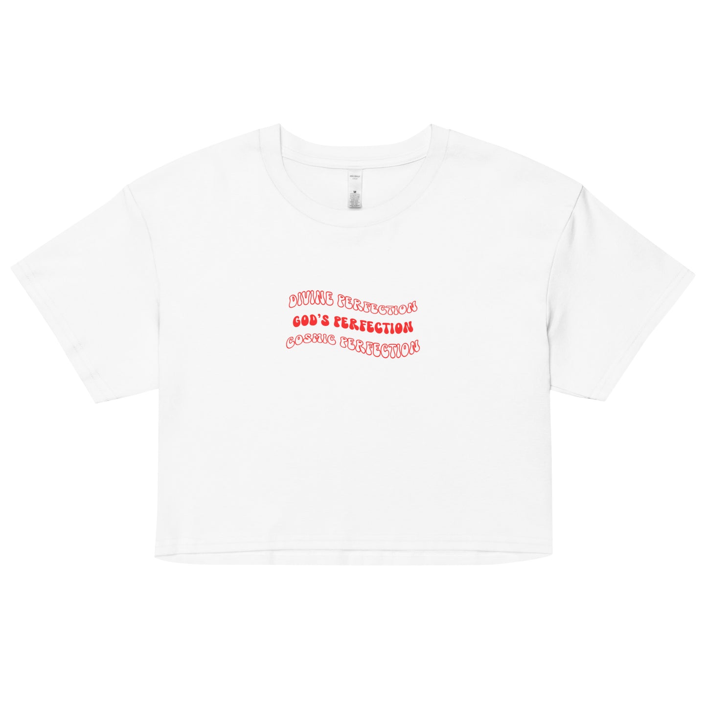 Divine Perfection, Cosmic Perfection, and God's Perfection Crop T-Shirt