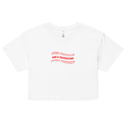 Divine Perfection, Cosmic Perfection, and God's Perfection Crop T-Shirt